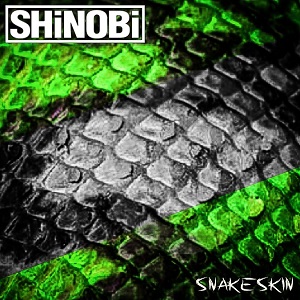 SHiNOBi Announce New Single