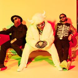 Arya Goggin of Skindred (Video Interview)